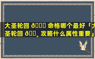 大圣轮回 🐘 命格哪个最好「大圣轮回 🌸 攻略什么属性重要」